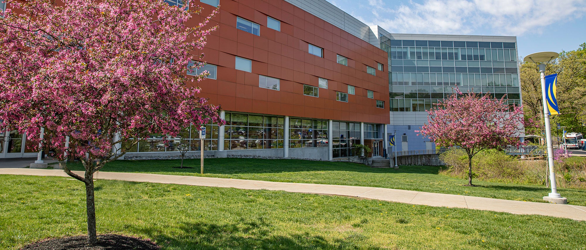 Spring trees on Marple campus