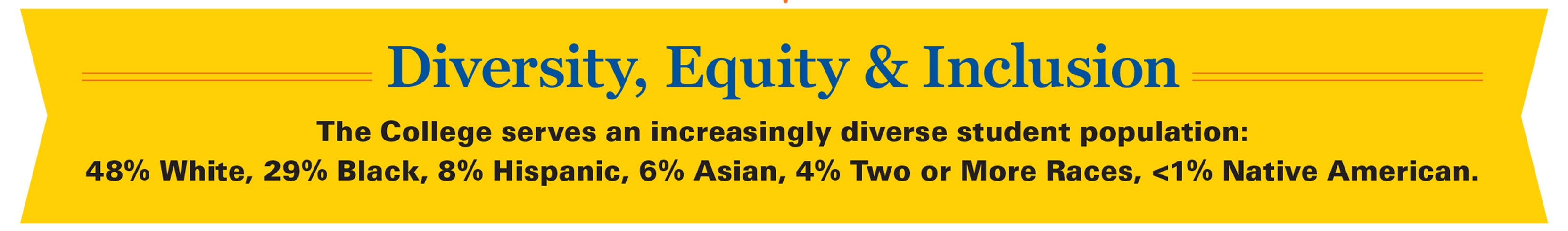 Diversity Graphic