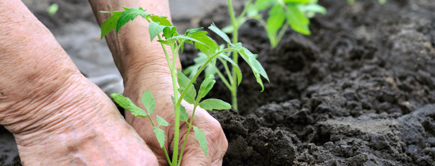 Horticulture Training