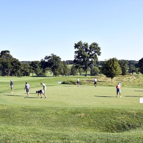 Golf Green