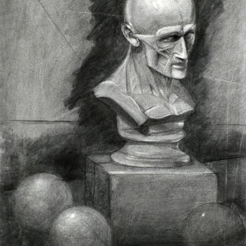 Drawing Course Work - drawing of a mans head