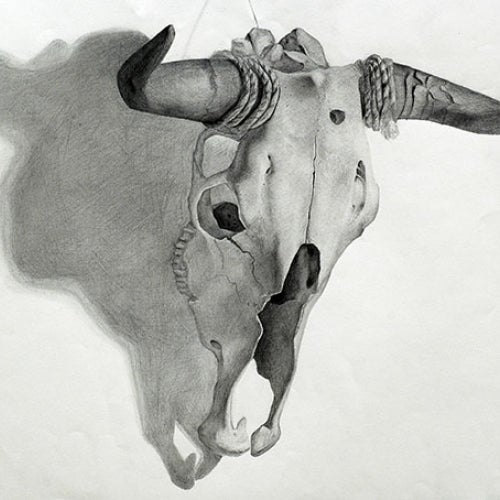 Drawing Course drawing of a cow