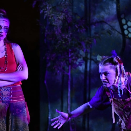 A Midsummer Night's Dream 2
