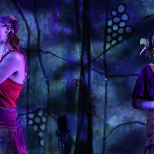 A Midsummer Night's Dream 3
