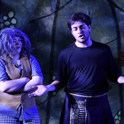 A Midsummer Night's Dream 10