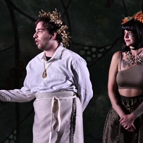 A Midsummer Night's Dream 20