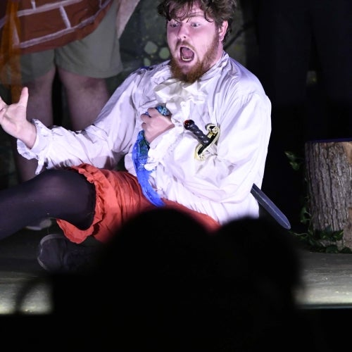 A Midsummer Night's Dream 33